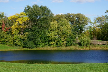 Fall Colors