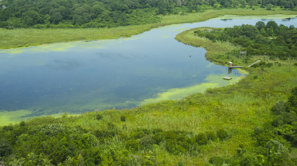Pond