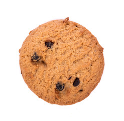 Chocolate chip cookie in bolwl on white background