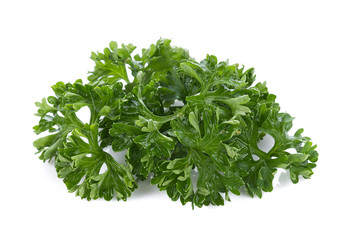 parsley isolated on a white background