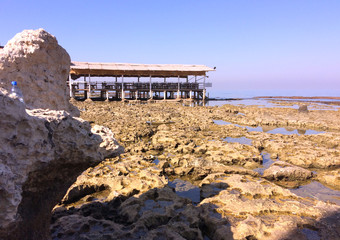 Restaurant sur pilotis , méditerranée à marée basse