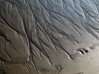 water marks in sand