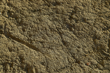Natural decomposition wood texture