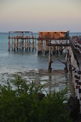 Marine landscape in Zanzibar. Tanzania