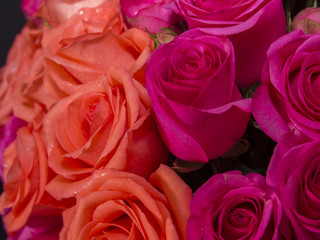 Pink & Orange Roses