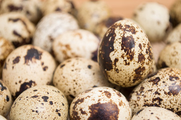 Group of quail egg close up on sack texture with frayed edges on wooden background
