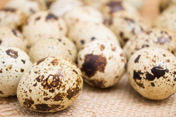 Fototapeta premium Group of quail egg close up on sack texture with frayed edges on wooden background