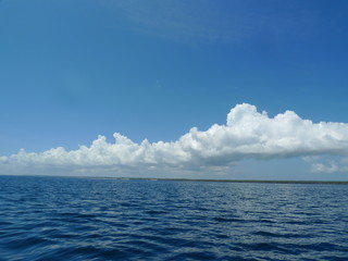 Marine landscape in Zanzibar. Tanzania