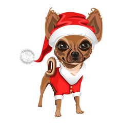 little dog in a red Santa Claus hat