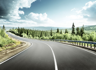 road in north forest