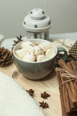 Obraz na płótnie Canvas Christmas mood. Cinnamon. Christmas decorations. Plaid, a tray, a mug of hot cocoa, marshmallows. Cozy. Gift. Christmas box.