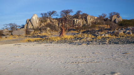 Kubu Island, Botswana
