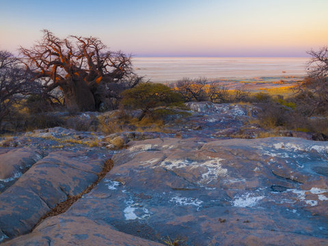 Kubu Island, Botswana