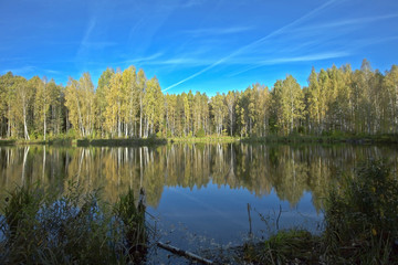 beautiful view of the lake in the woods on a background of birch trees