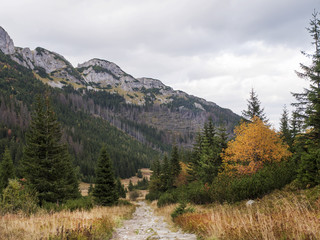 Fototapeta na wymiar A path in the mountains. Valley. Autumn.