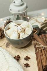 Christmas mood. Cinnamon. Christmas decorations. Plaid, a tray, a mug of hot cocoa, marshmallows. Cozy. Gift. Christmas box.