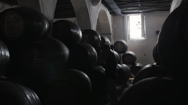 Barrel rows in a winery, wine porto barrels stock on old factory, porto, portugal