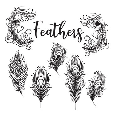 Vector illustration of beautiful peacock feather set isolated on a white background. Trendy hipster background, logotype, tattoo design element. Colorful gradient.
