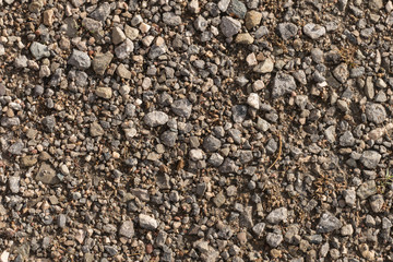 Old dirt road, close-up / Abstract background from old dirt road, close-up