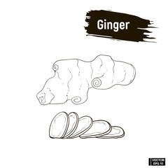 Outline image of ginger.