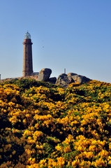 Fototapeta na wymiar Vilano Cape lighthouse