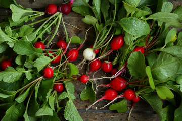  Fresh radish in wood crate