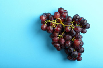 Ripe red wine grapes on blue