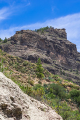 Fototapeta premium Breathtaking landscape with the most beautifull mountain peaks on grand canary, canary islands, spain.