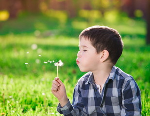  Face, fun, blue shirt, green background, dandelion