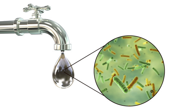 Dirty best sale tap water