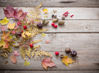 red berriaes and  autumn leaves on old wooden background