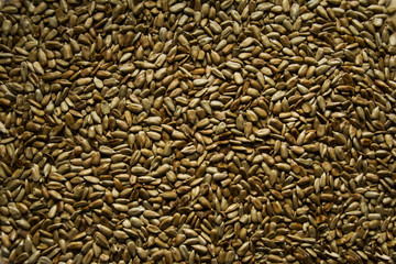 a lot of sunflower seeds background.