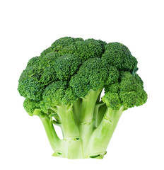 Closeup of a head of broccoli showing individual florets on white background.