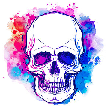Watercolor sketchy skull with red, blue and purple colors isolated on white background.  Vector illustration.
