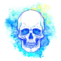 Watercolor sketchy skull with red, blue and purple colors isolated on white background.  Vector illustration.