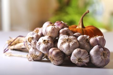 Vegetables with Still life on blurred background