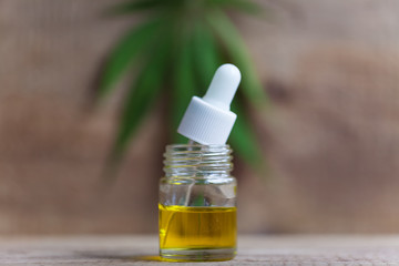 Green leaves of medicinal cannabis with extract oil on a wooden table