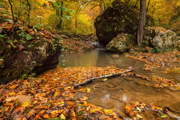 Autumn forest with creek