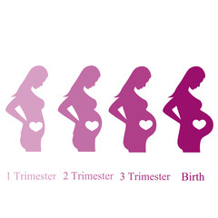 Plakat Pregnant women