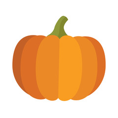 Pumpkin. Object