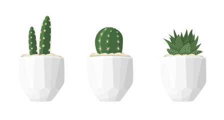 Cactus illustrations in a flat style isolated on a white background. Variety of decorative home plants cactus and succulent in white geometric minimalist ceramic pots. Set of vector flat illustrations