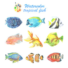 Naklejka premium Watercolor collection of tropical fish. Aquarium inhabitants.