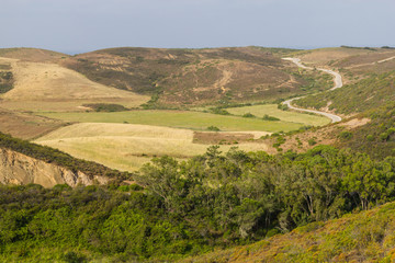 Road to Carrapateira with plantation and forest