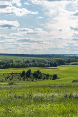 Fototapeta premium Rural Landscape