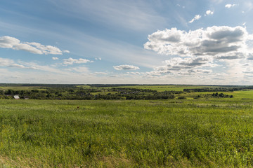 Fototapeta premium Rural Landscape