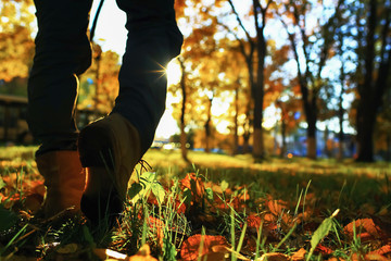 Walking along the path in the leaves