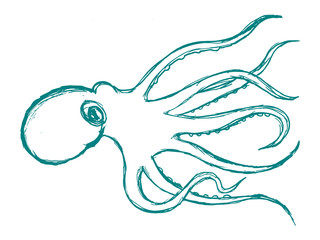 Naklejka na ściany i meble octopus animal from ocean