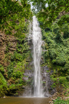 The famous Wli water falls, the highest waterfall in West Africa, surrounded by lush tropical forest, Ghana