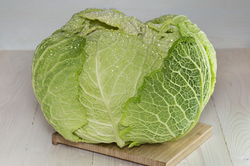 Young cabbage on a wooden board
