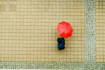 Person holding umbrella on street.
